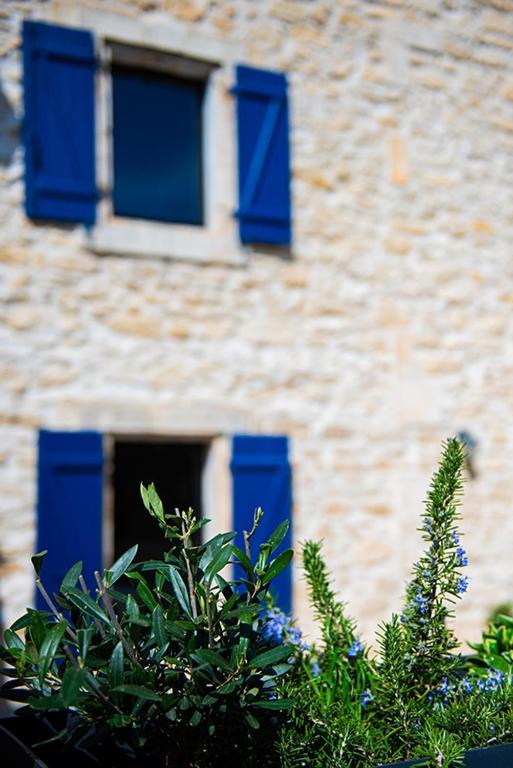 Namaste Home, Votre Havre De Paix A St Remy ! Parking Wifi Inclus Сен-Реми-де-Прованс Экстерьер фото