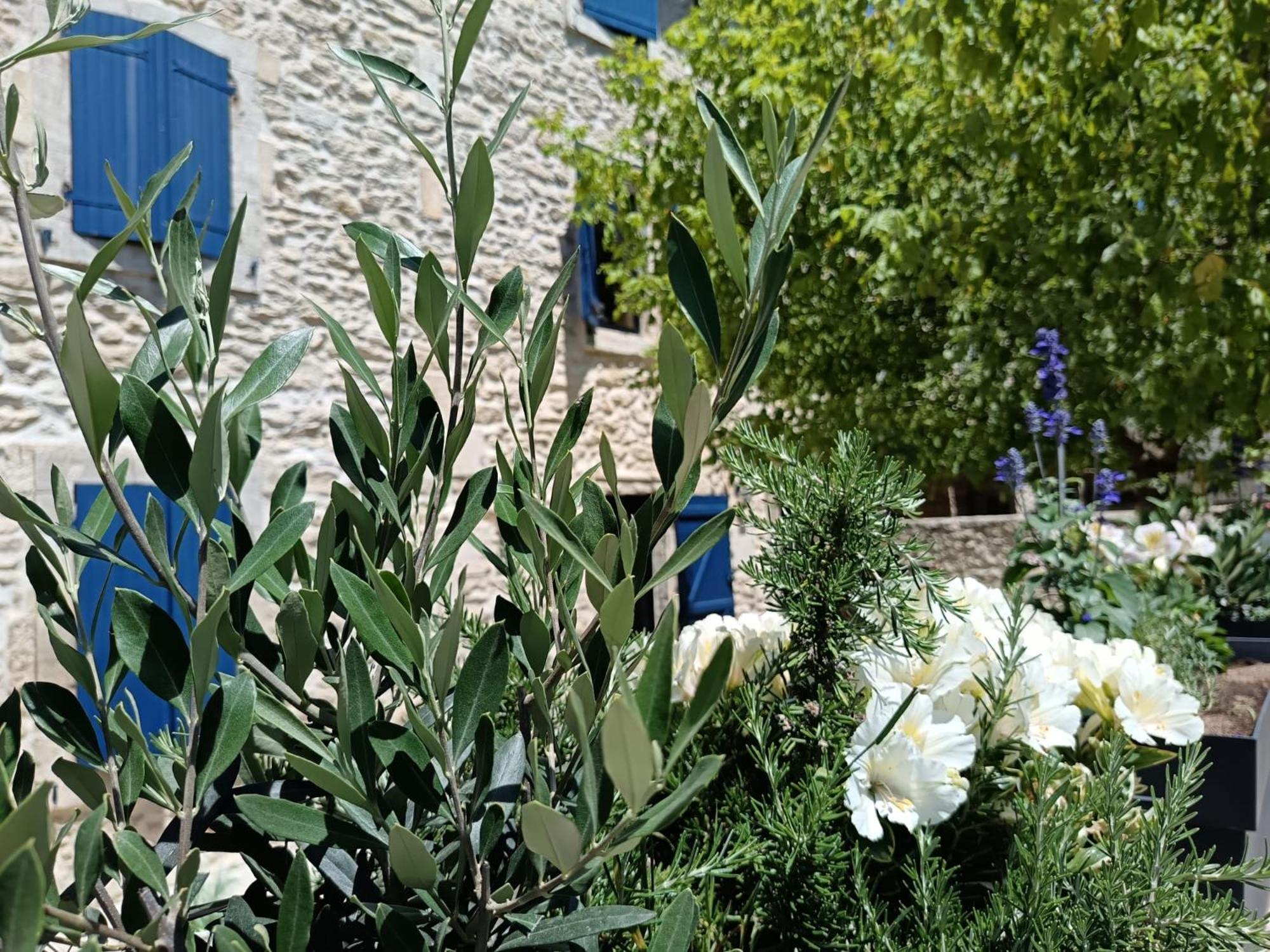 Namaste Home, Votre Havre De Paix A St Remy ! Parking Wifi Inclus Сен-Реми-де-Прованс Экстерьер фото